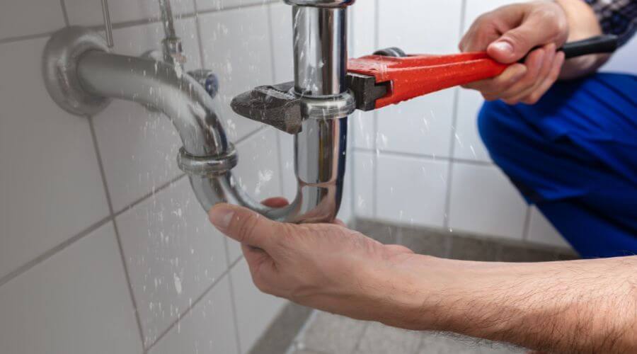 Leak Detection Services in Forestville, NY